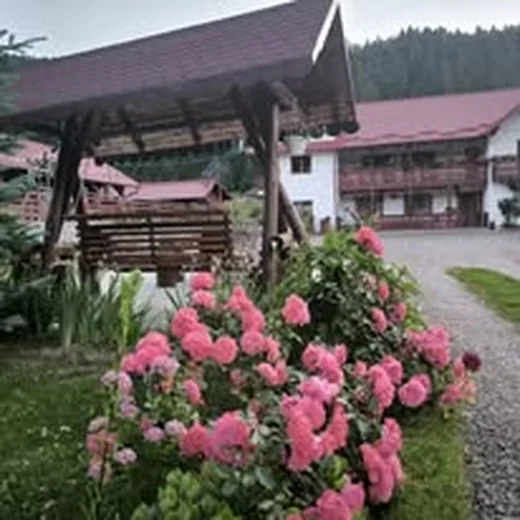 Foișor și hortensii la Casa Flori de Voroneț