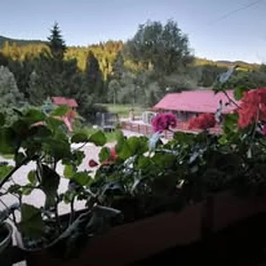 Flori și peisaj la Casa Flori de Voroneț