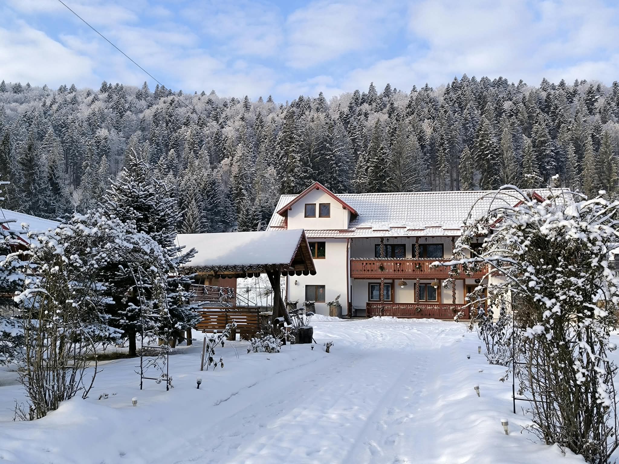 Casa Flori de Voroneț - iarnă